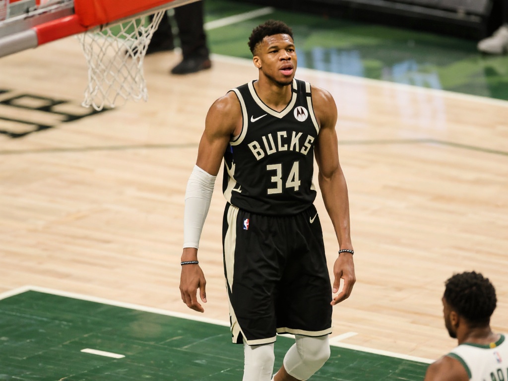 以期为用户 以期为用户