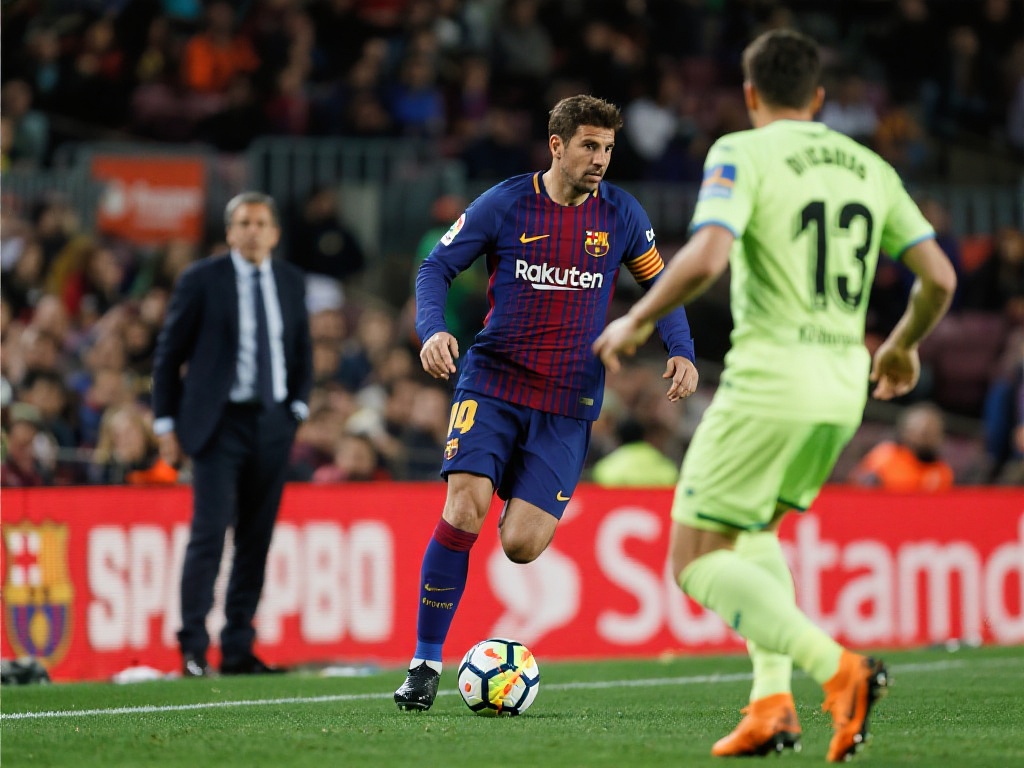 对体育的关 对体育的关